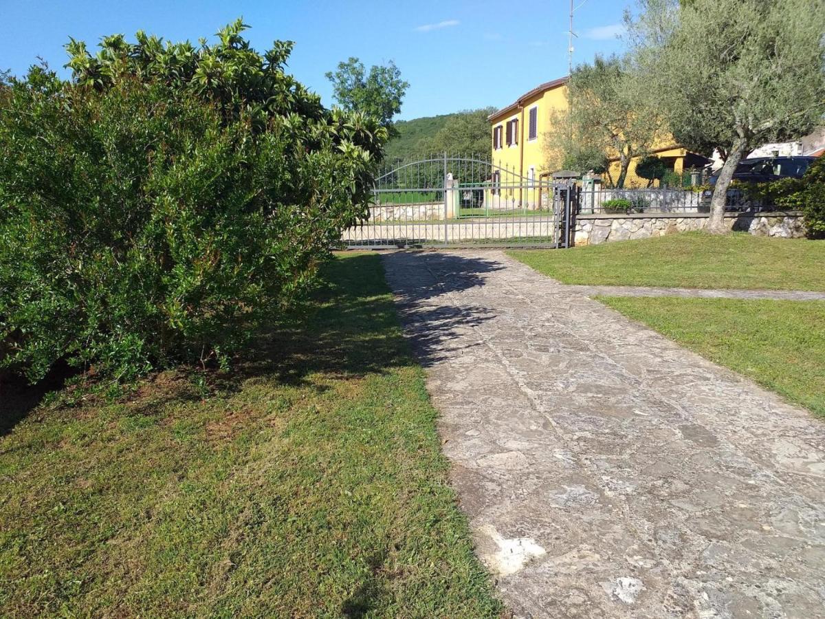 Family Friendly House With A Parking Space - 20540 Rovinj
